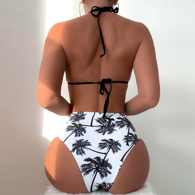 Palmas Negras